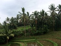 Ubud